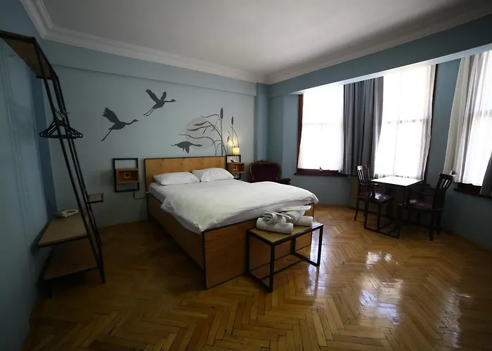 Yolo איסטמבול