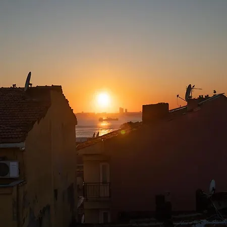 Yolo イスタンブール